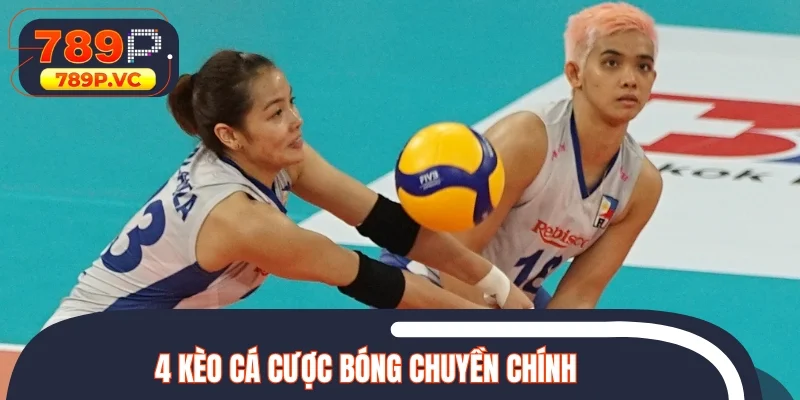 Tổng hợp loại kèo chính khi vào cược bóng chuyền