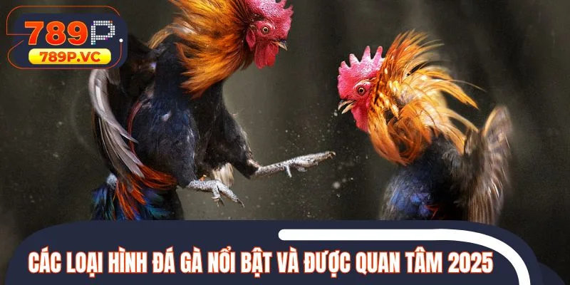 Các loại hình đá gà nổi bật và được quan tâm 2025