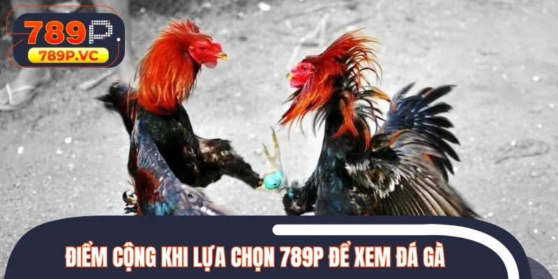 Điểm cộng khi lựa chọn nền tảng uy tín để xem