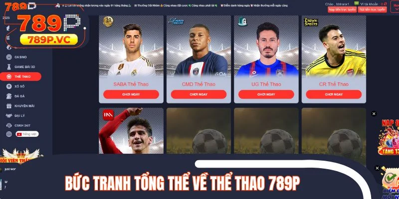 Bức tranh tổng thể về thể thao 789P